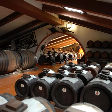 Pidkova Гостевой дом Модена