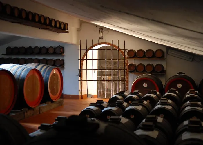 Pidkova بيت ضيافة مودينا