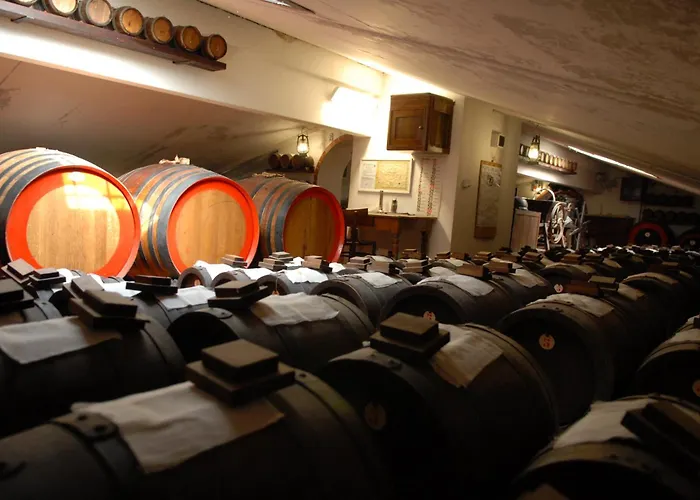 Pidkova Vendégház 3*