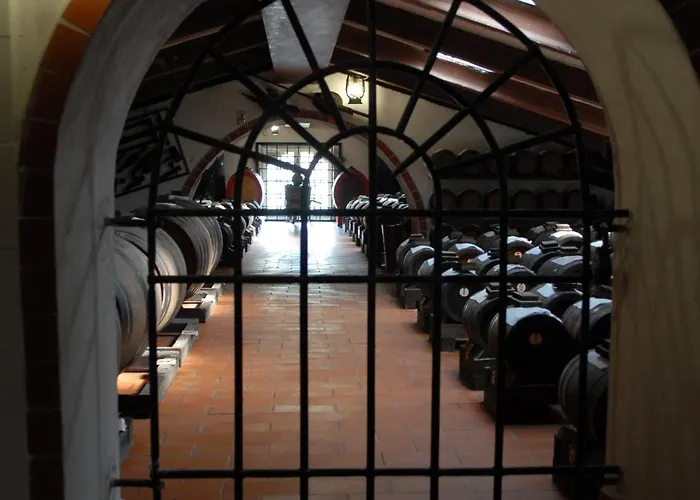 بيت ضيافة Pidkova 3*