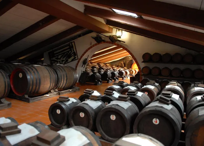 Pidkova بيت ضيافة مودينا